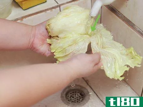 Image titled Shred Lettuce Step 18