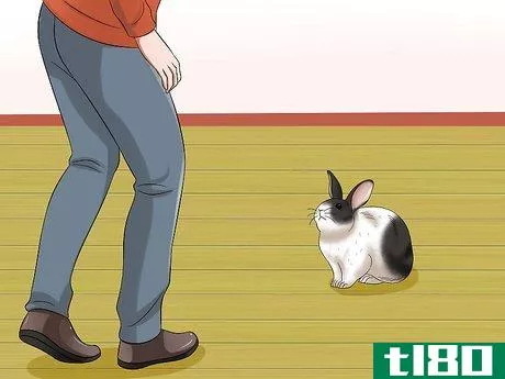 Image titled Socialize Your Rabbit Step 1