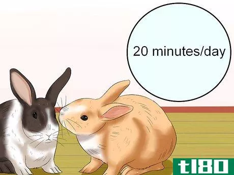 Image titled Socialize Your Rabbit Step 9