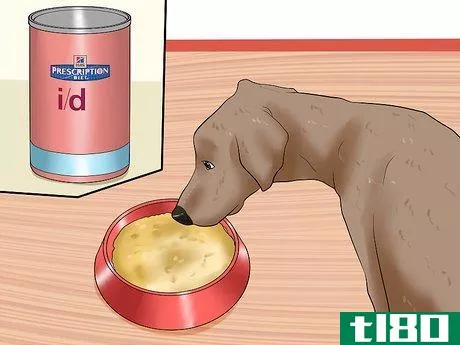 Image titled Solve Digestive Problems With Small Dogs Step 7