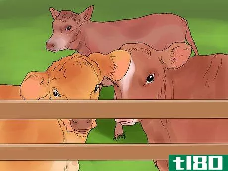 Image titled Start a Cattle Farm Step 3