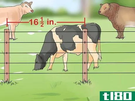 Image titled Start a Cattle Farm Step 19