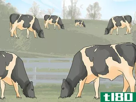 Image titled Start a Cattle Farm Step 1