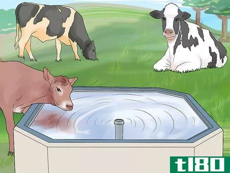 Image titled Start a Cattle Farm Step 17