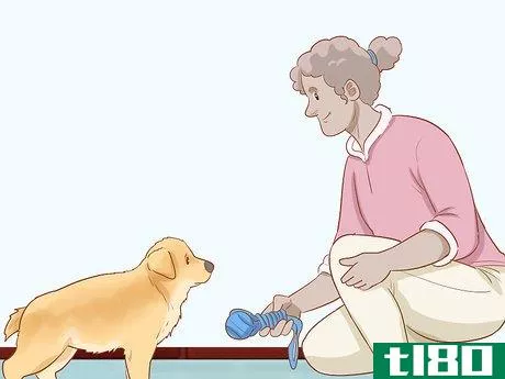 Image titled Stop Destructive Behavior in Dogs Step 10