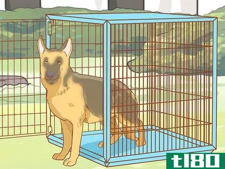 Image titled Stop Destructive Behavior in Dogs Step 18