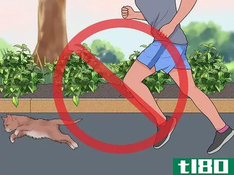 Image titled Stop Cats from Digging in Flower Beds Step 14