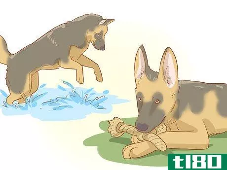 Image titled Stop Destructive Behavior in Dogs Step 6