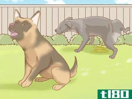 Image titled Stop Destructive Behavior in Dogs Step 2