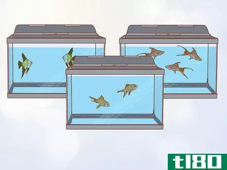 Image titled Start an Aquarium Shop Step 9