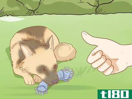 Image titled Stop Destructive Behavior in Dogs Step 19
