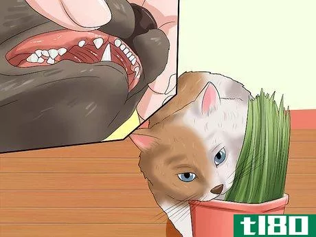 Image titled Stop a Cat from Chewing Step 3
