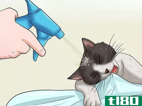 Image titled Stop a Cat from Chewing Step 7