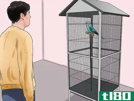 Image titled Stop a Budgie from Biting Step 6
