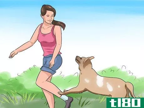 Image titled Stop a Dog from Climbing up on Things Step 12
