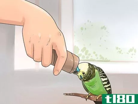 Image titled Stop a Budgie from Biting Step 5