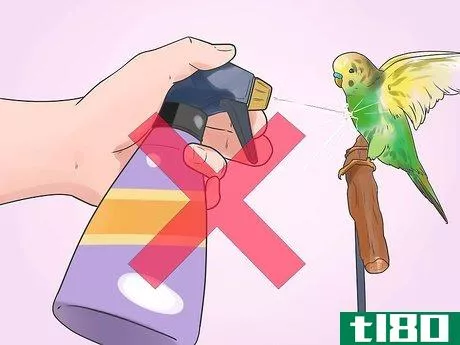 Image titled Stop a Budgie from Biting Step 8