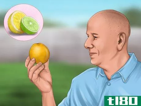 Image titled Store Citrus Fruit Step 1