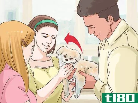 Image titled Survive the Holidays with Your Dog Step 15