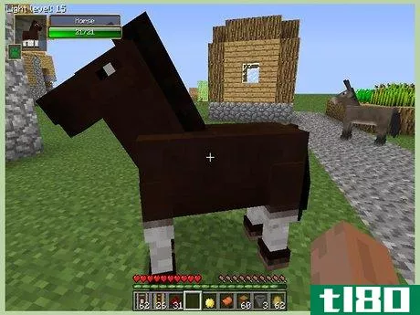 Image titled Tame a Horse in Minecraft Step 3