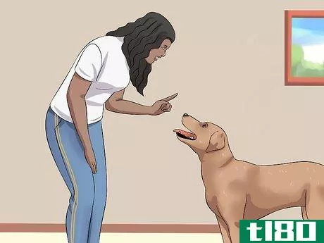 Image titled Tame a Dog Step 18