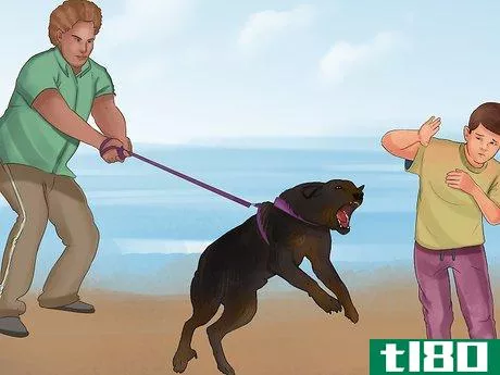 Image titled Take Pets on Beach Vacations Step 16