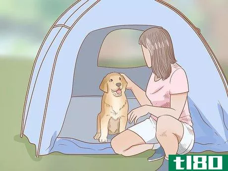 Image titled Take Your Dog Camping Step 6
