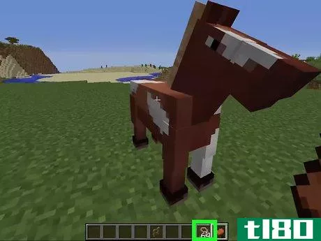 Image titled Tame a Horse in Minecraft PC Step 5