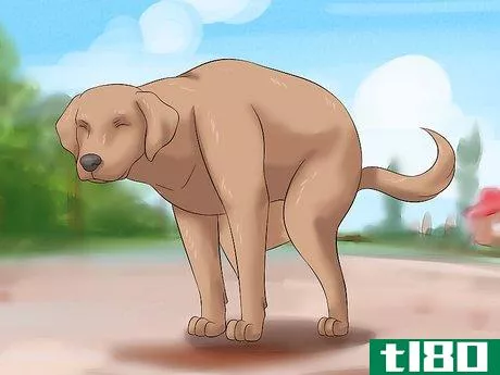 Image titled Tame a Dog Step 15