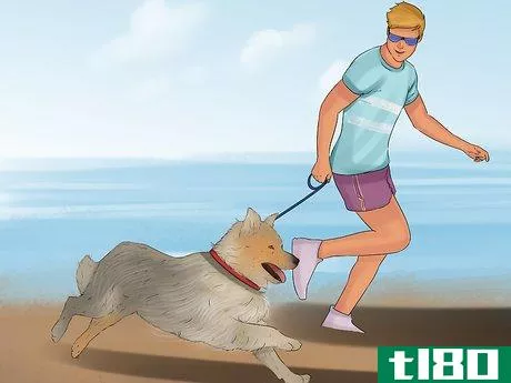 Image titled Take Pets on Beach Vacations Step 11