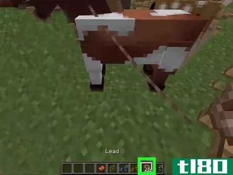 Image titled Tame a Horse in Minecraft PC Step 6