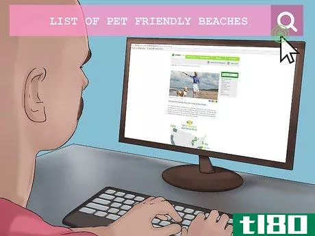 Image titled Take Pets on Beach Vacations Step 1