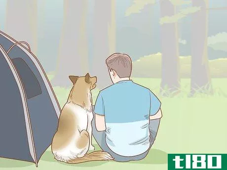 Image titled Take Your Dog Camping Step 1