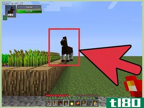 Image titled Tame a Horse in Minecraft Step 2