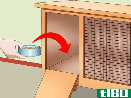 Image titled Teach Your Rabbit to Go Back to His Hutch Step 7