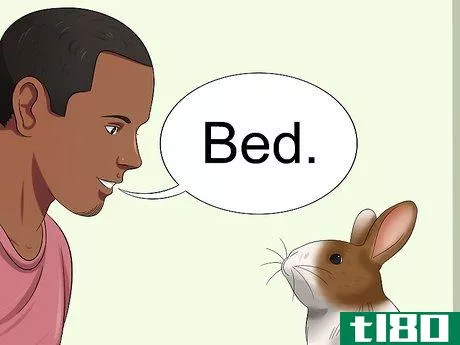 Image titled Teach Your Rabbit to Go Back to His Hutch Step 1