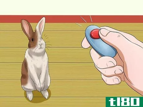 Image titled Teach Your Rabbit to Go Back to His Hutch Step 5