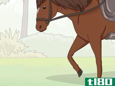 Image titled Teach Your Horse to Stop Biting Step 6
