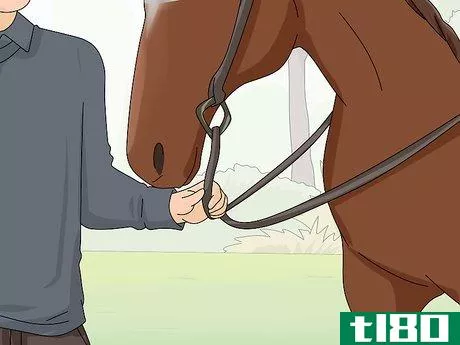 Image titled Teach Your Horse to Stop Biting Step 9