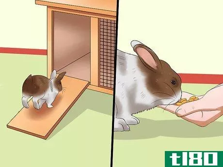 Image titled Teach Your Rabbit to Go Back to His Hutch Step 9