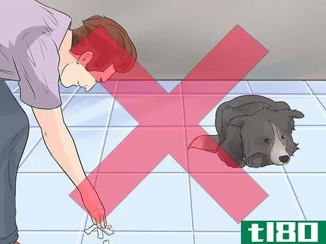 Image titled Teach a Dog to Crawl Step 3