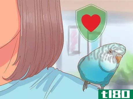 Image titled Teach Your Parakeet to Love You Step 9