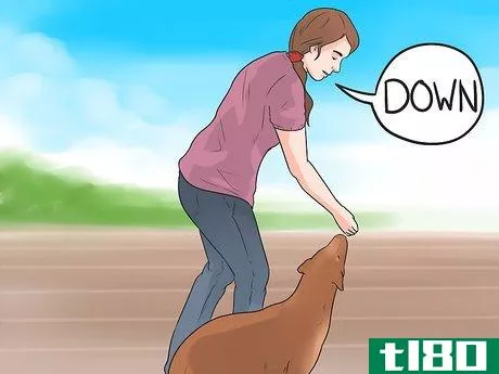 Image titled Teach a Dog to Crawl Step 6