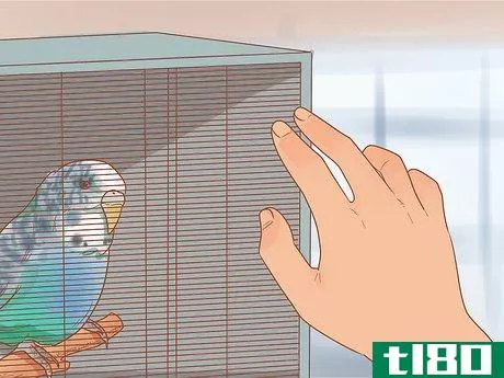 Image titled Teach Your Parakeet to Love You Step 3