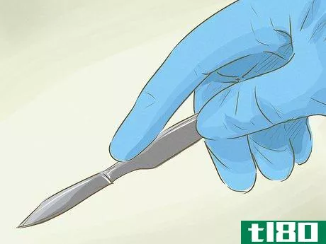 Image titled Test Bone Marrow Step 13