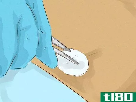 Image titled Test Bone Marrow Step 10