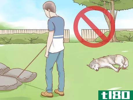 Image titled Treat a Dog for Snakebite in Australia Step 2
