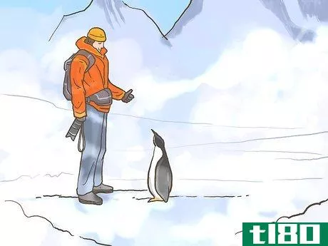 Image titled Travel to Antarctica Step 13