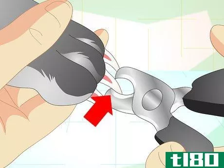 Image titled Trim Your Rabbit's Nails Step 6