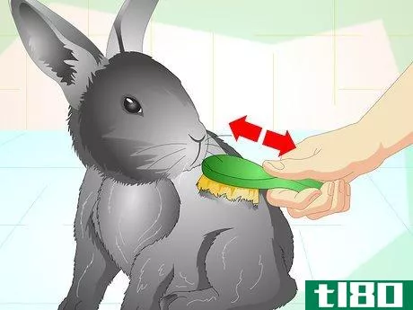 Image titled Trim Your Rabbit's Nails Step 11